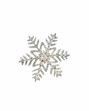 Julenål - stor snøkrystall